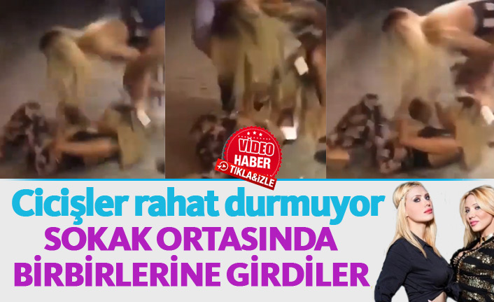 Cicişler'den yeni skandal! Cicişlerin sokak ortasında kavga görüntüleri ortaya çıktı
