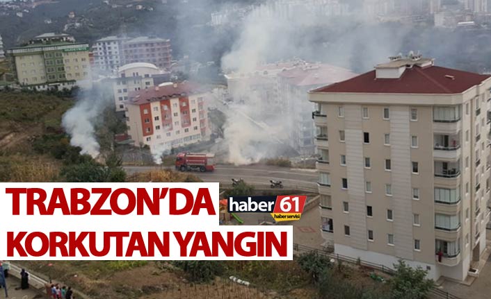 Trabzon’da Yerleşim Yerine Yakın Çalılık Yangını Korkuttu