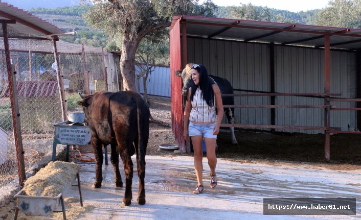 Dana Ferdinand huzura kavuştu