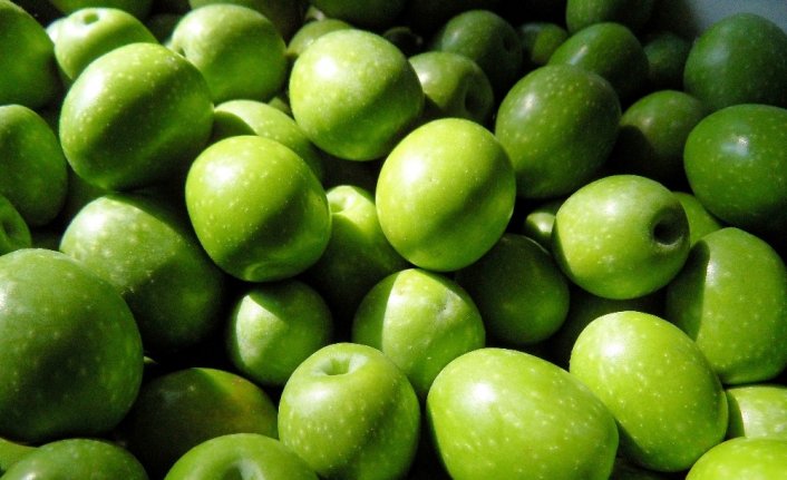 Zeytin ve zeytinyağı ihracatında rekor kırıldı