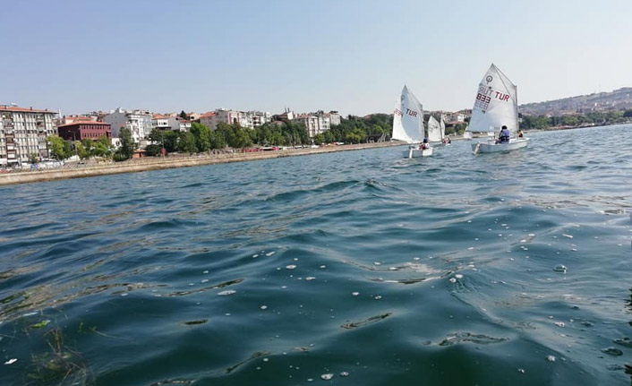 Balkan Şampiyonası'nda Türkiye'yi kimler temsil edecek?