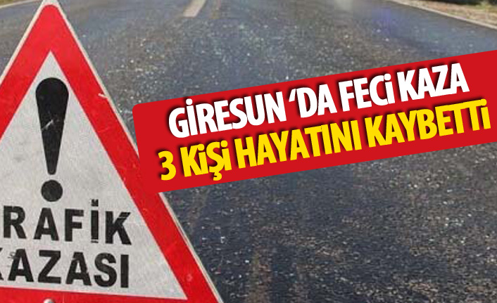 Karadeniz sahil yolunda feci kaza: 3 ölü!