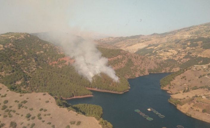 Kahramanmaraş’ta orman yangını