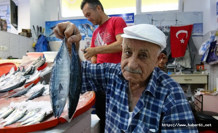 Trabzonlu bu sene balığa doyacak