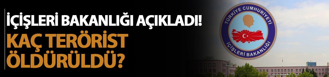 İçişleri Bakanlığı açıkladı! 4'ü üst düzey! 46 terörist etkisiz hale getirildi