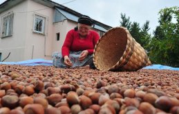 Trabzon'dan 64 ülkeye fındık ihracatı