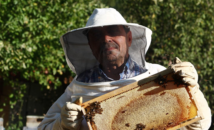 Bayburt Balında Rekor Verim: Arıcılar Yüz Güldüren Hasada Başladı