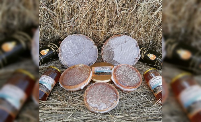 Bayburtlu Arıcıların Yüzü Güldü: Yüksek Rakım, Yüksek Rekolte Getirdi