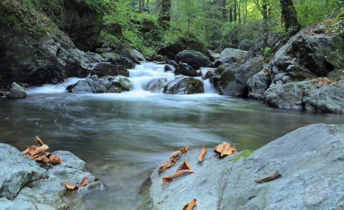 Altındere Vadisi yenilenecek 
