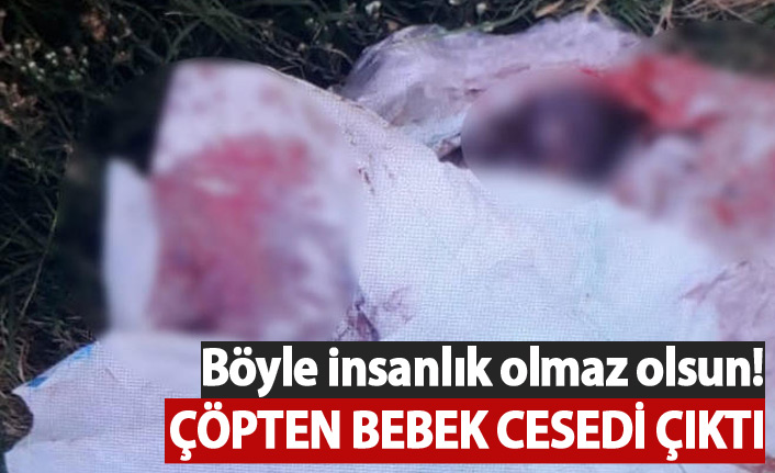 Çöpten bebek cesedi çıktı!