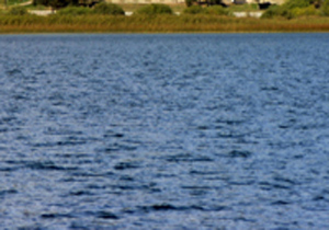 Çaykara'dan acı haber