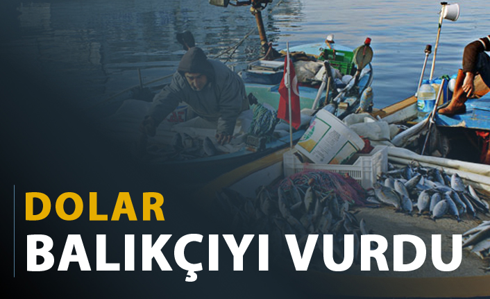Dolar balıkçıyı vurdu