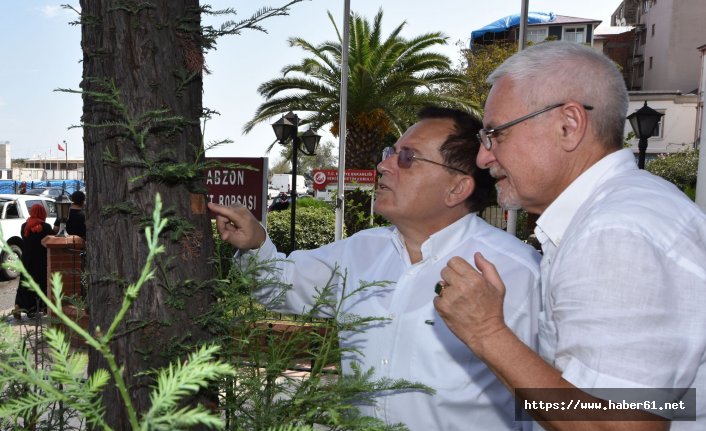 18 yıl önce Trabzon'da diktiği ağacı görünce duygulandı