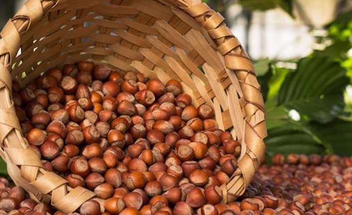 TMO’ya çağrı: “Fındıkta acil alım fiyatı açıklansın”