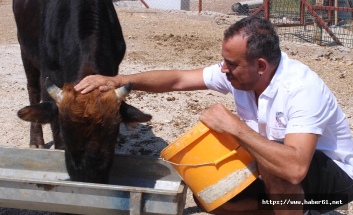 Haluk Levent dana Ferdinand'ı ziyaret etti