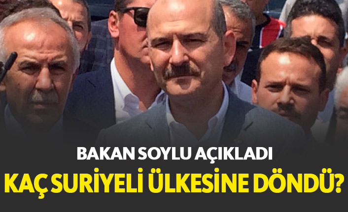 Kaç Suriyeli ülkesine döndü