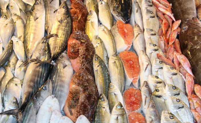 Su ürünleri ve hayvansal mamuller sektörü Afrika’ya yöneldi