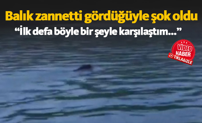 Balık zannetti domuz çıktı