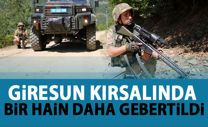 SON DAKİKA! Giresun'da bir terörist etkisiz hale getirildi!