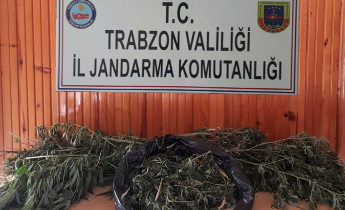 Araklı'da uyuşturucu operasyonu