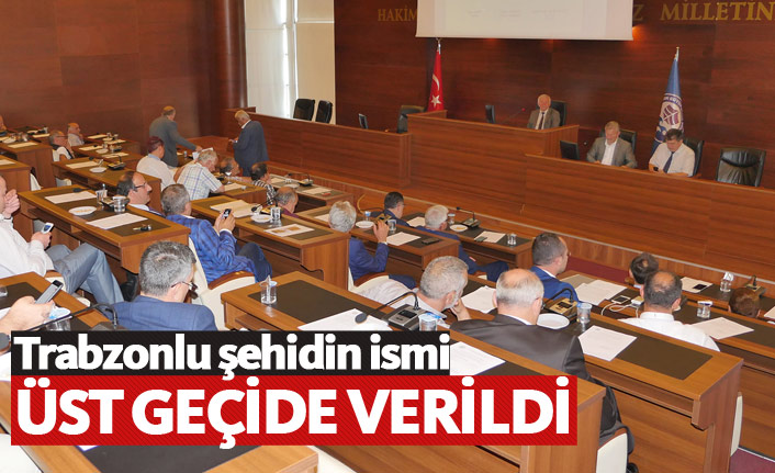 Trabzonlu şehit Ethem Hacımahmutoğlu'nun ismi üstgeçide verildi