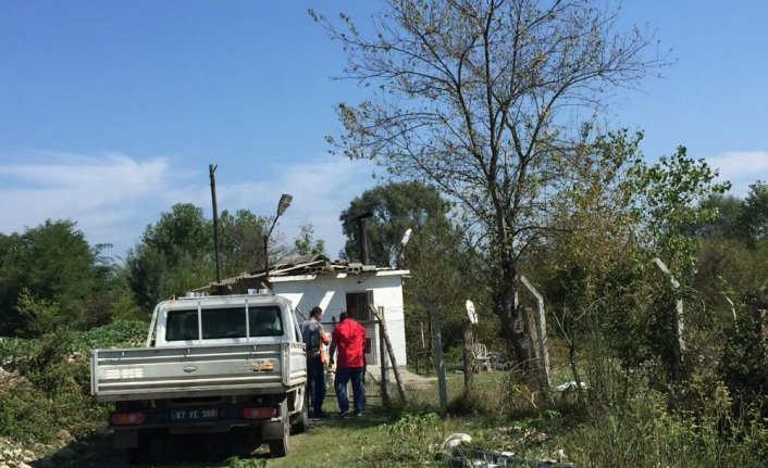 Sokak köpeğini vurarak öldürdüler!