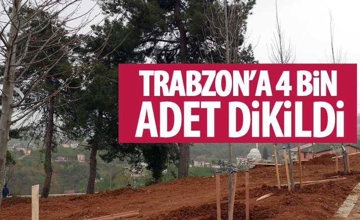 Trabzon'a 3 milyon yeşil bitki dikildi