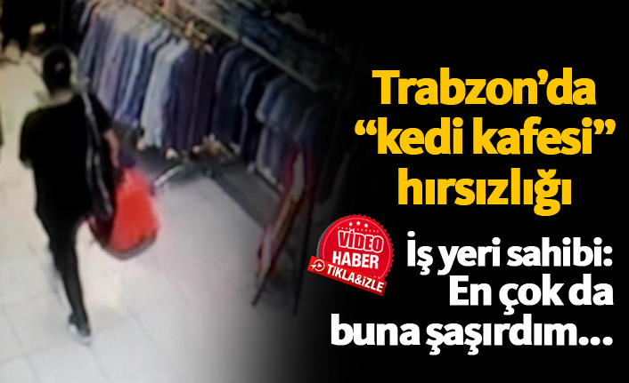 Trabzon'da "kedi kafesi" hırsızlığı