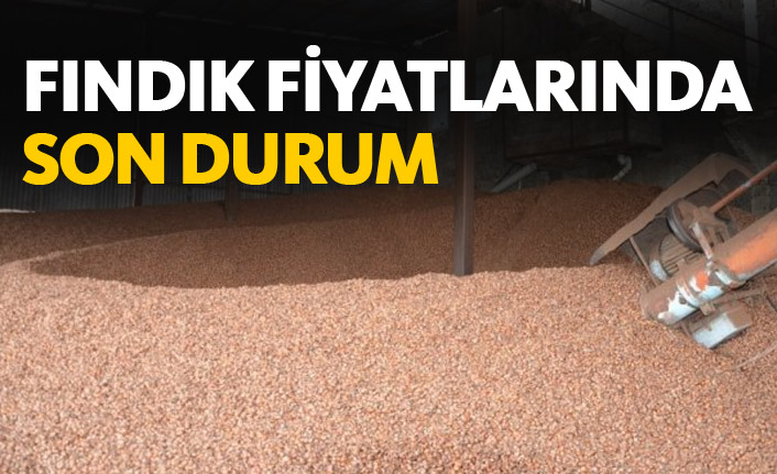 Fındık fiyatları ne kadar? Fındık fiyatı ile ilgili son haberler