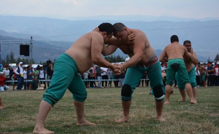 Güreşin Kalbi Niksar’da attı