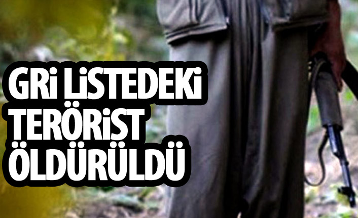Gri listedeki Şervan Çevlik kod adlı Fırat Dağdelen öldürüldü.
