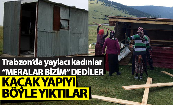 Trabzon'da yaylacı kadınlar kaçak yapıyı böyle yıktı