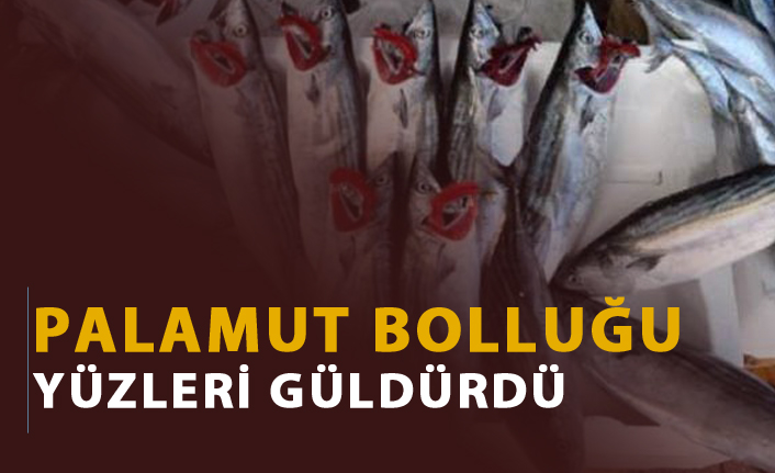 Palamut bolluğu yüzleri güldürdü