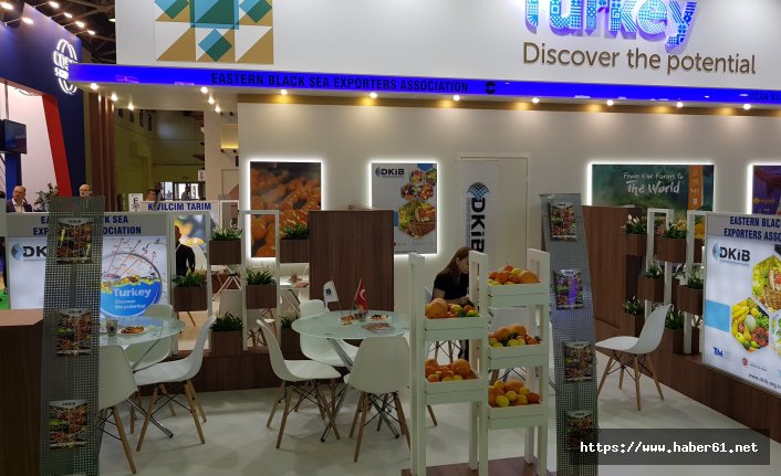 Doğu Karadeniz firmaları Moskova'da