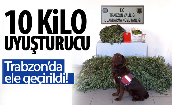 Evinde 10 kilogram esrarla yakalandı