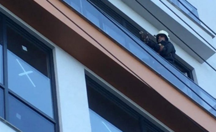 Balkonda sıkışan doğanı itfaiye kurtardı