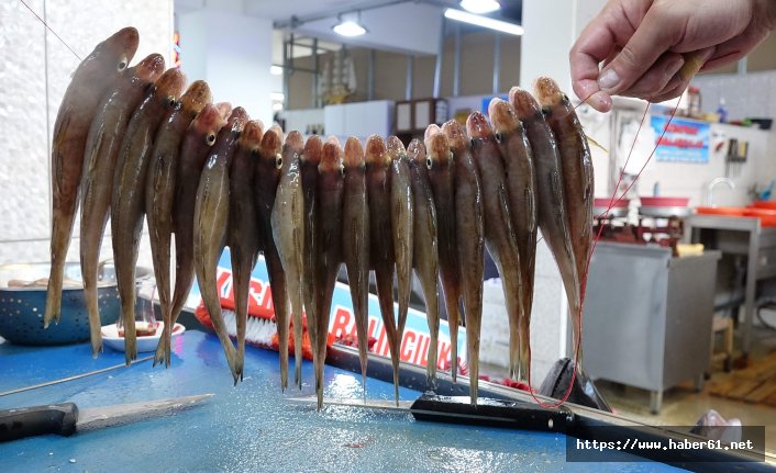 Mezgitin kilosu bir türlü düşmüyor