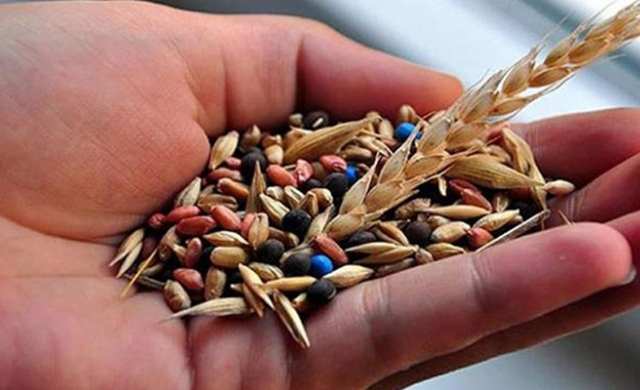 Yeni 7 bitki türü tescillendi