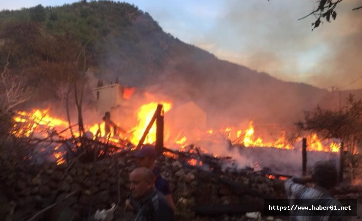 Yangın 8 evi kül etti