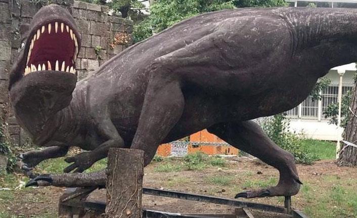 Gökçek'in dinozorları Trabzon'da!