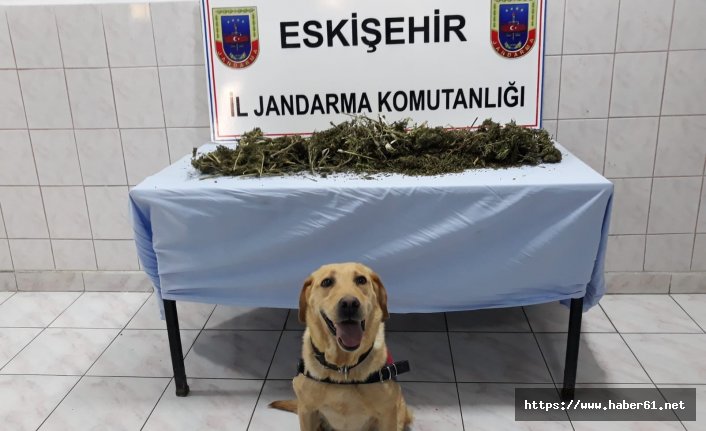 Uyuşturucu imal edilen barakaya baskın