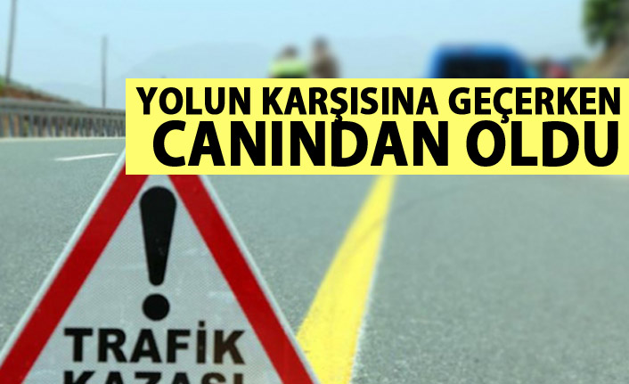 Giresun'da yolun karşısına geçmek isteyen kişi hayatını kaybetti