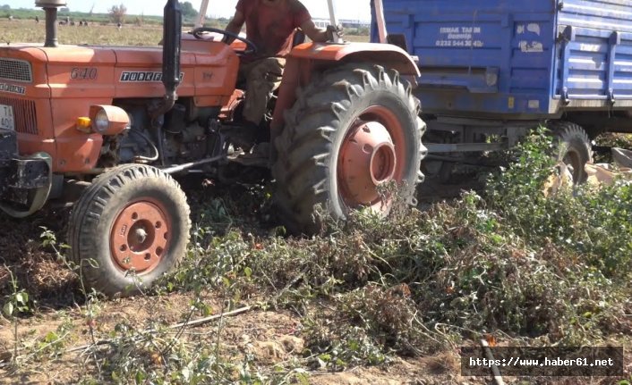 Traktör altında kalan kadın öldü!