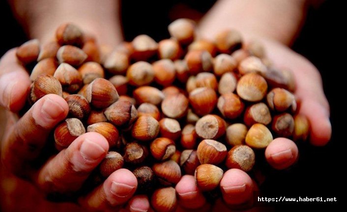 DKİB Ferrero'ya sahip çıktı: Fındık fiyatları için suçlamak