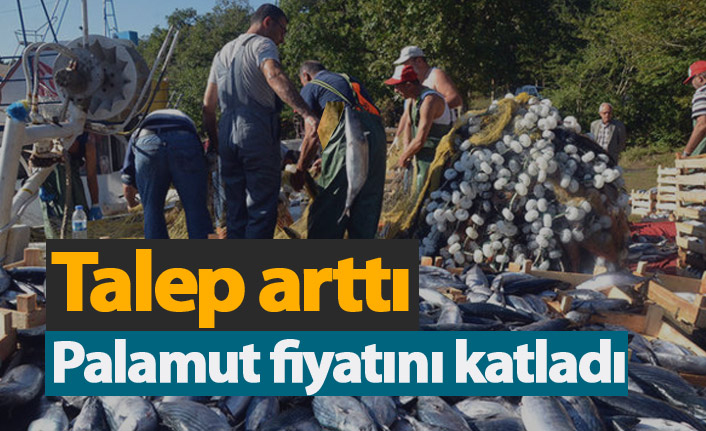 Talep arttı, palamut fiyatını katladı