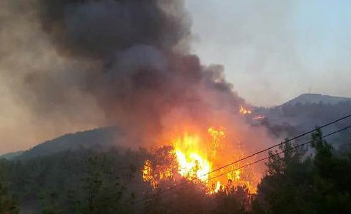 Korkutan orman yangını