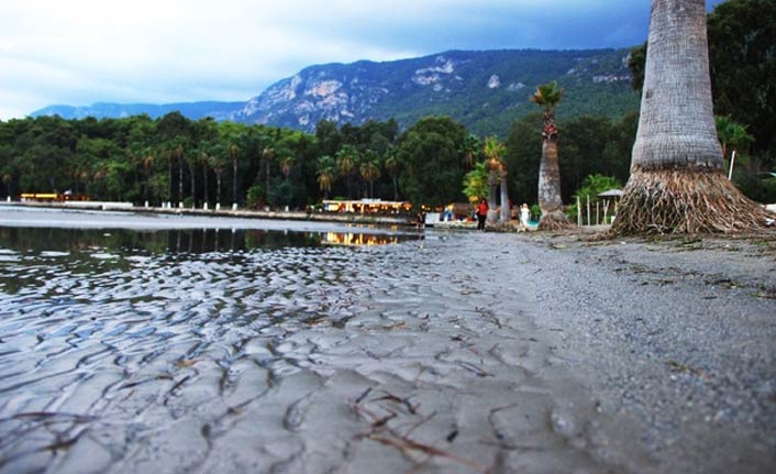 Denizde ürküten su çekilmesi