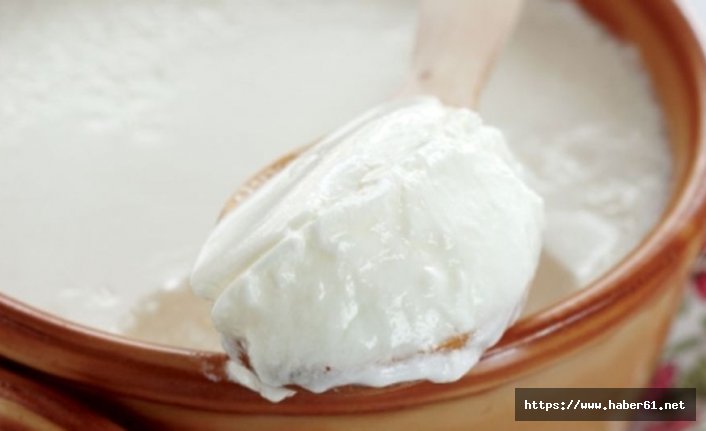 Yoğurdun içinden uyuşturucu zulası çıktı