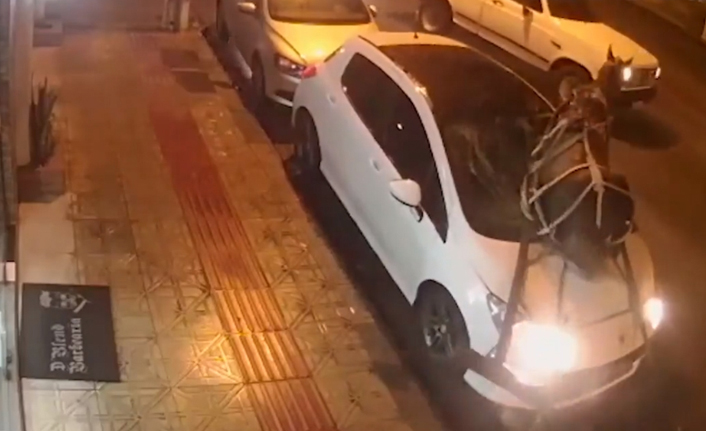 Kaçan at park halindeki otoparka çarptı