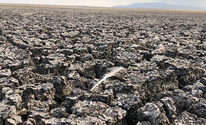 Kuş cenneti tamamen kurudu